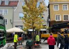 Baumpflanzungen am Weinmarkt