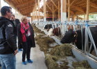 Mittelschwäbische Landwirtschaft 4
